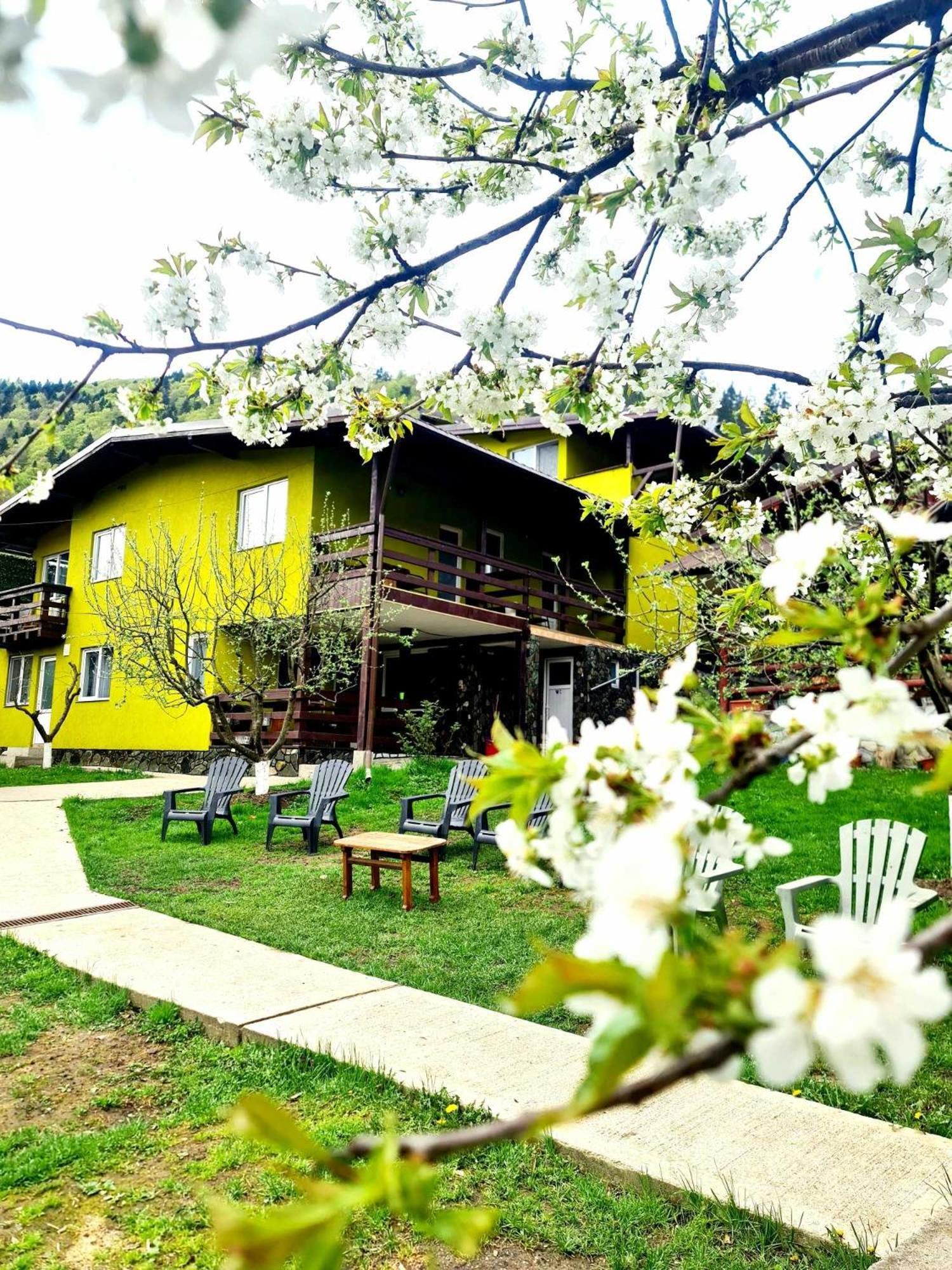 Vila Giulia Voineasa Extérieur photo